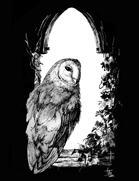 Barn Owl at the Lych Gate, ink and Dura-Lar.